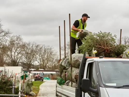 Eco-friendly-Tree-Debris-Pick-Up-1