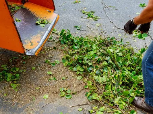 Eco-friendly-Yard-Debris-Removal