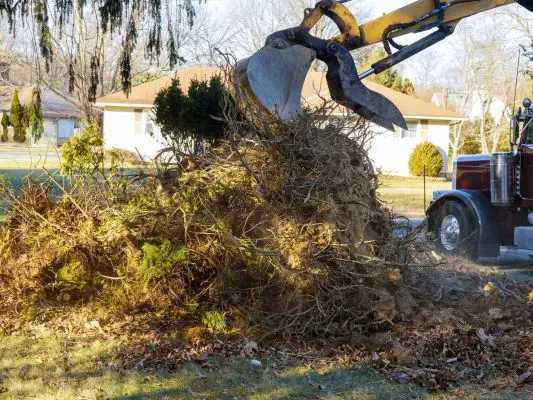 Process-of-Yard-Debris